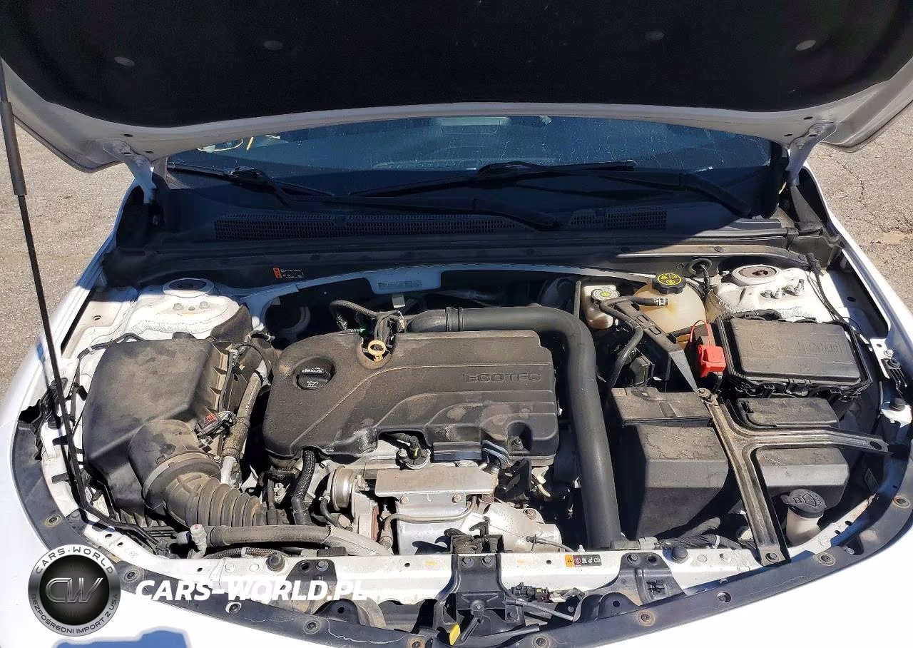 2019 Chevrolet Malibu Lt VIN:1G1ZD5STXKF108098 - 11