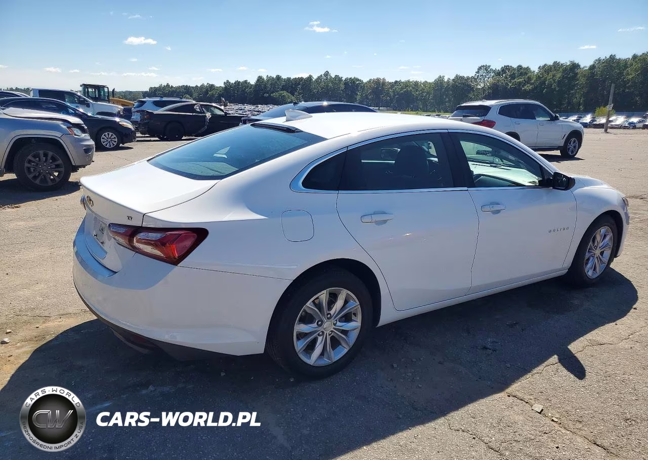 2019 Chevrolet Malibu Lt VIN:1G1ZD5STXKF108098 - 3