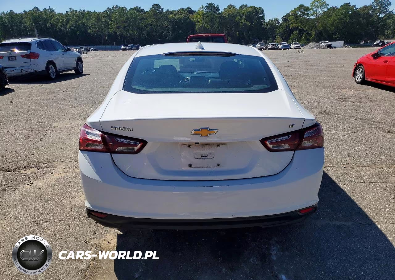 2019 Chevrolet Malibu Lt VIN:1G1ZD5STXKF108098 - 6