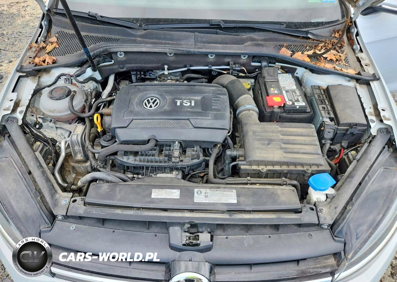 2018 Volkswagen Golf Sportwagen S VIN:3VW117AU3JM753447 - 11