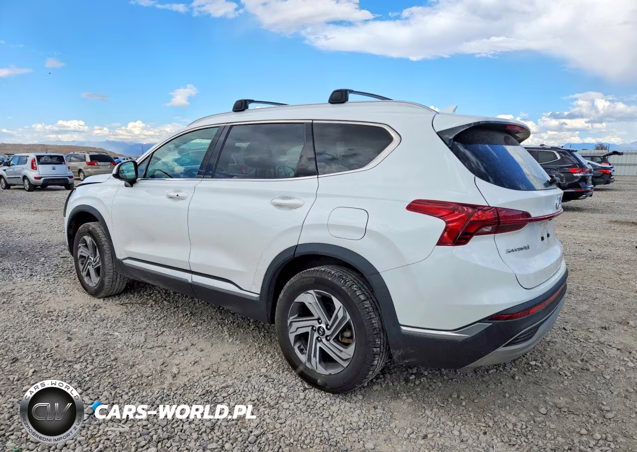 2022 Hyundai Santa Fe Sel VIN:5NMS2DAJ3NH448340 - 2