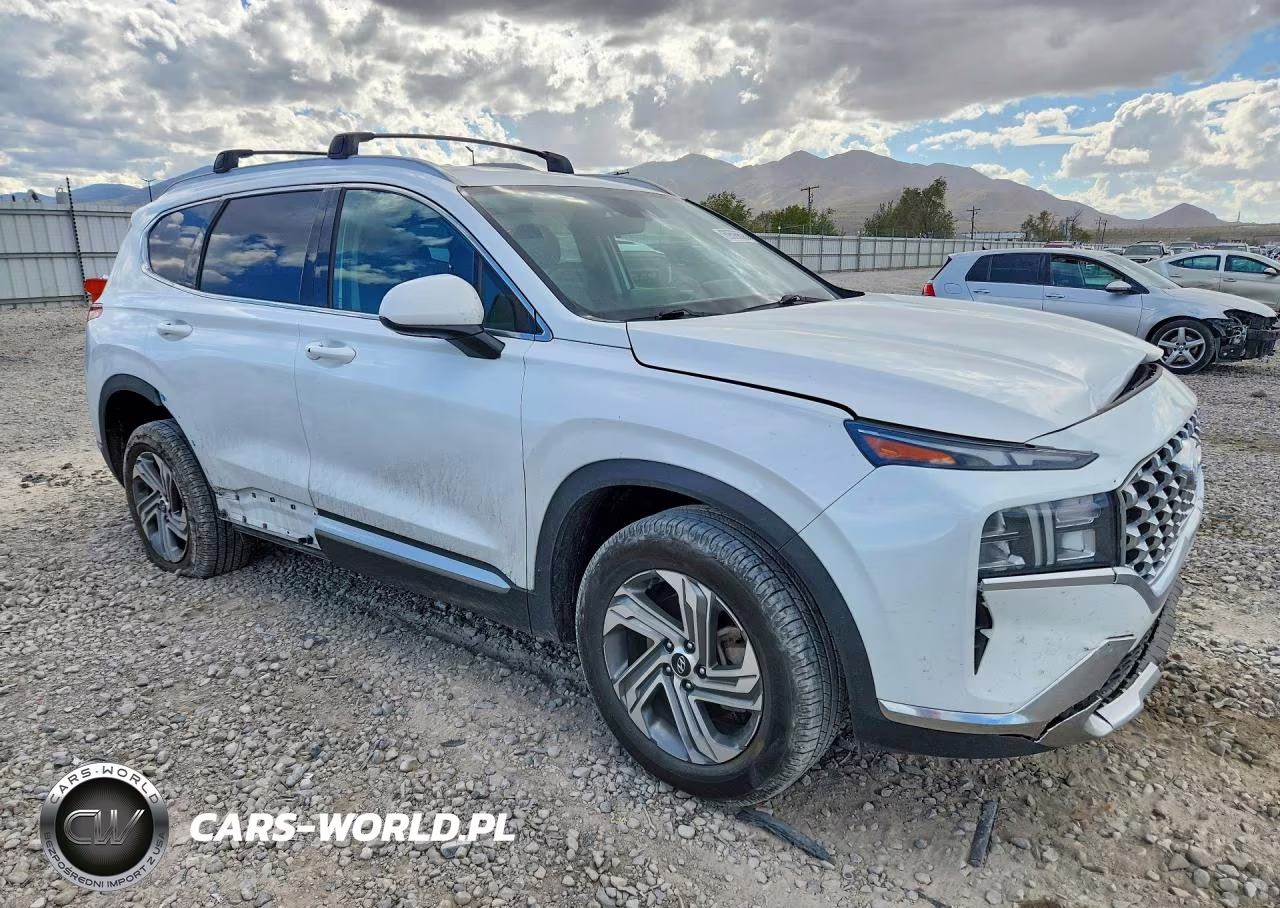 2022 Hyundai Santa Fe Sel VIN:5NMS2DAJ3NH448340 - 4
