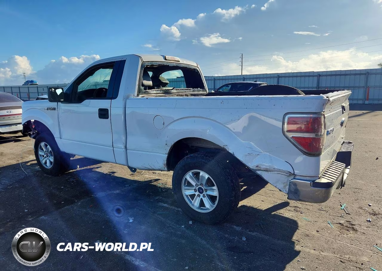 2013 Ford F150 VIN:1FTMF1CM7DFB16562 - 2