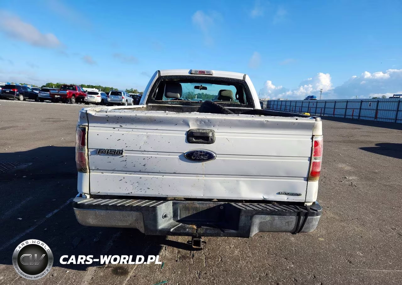 2013 Ford F150 VIN:1FTMF1CM7DFB16562 - 6