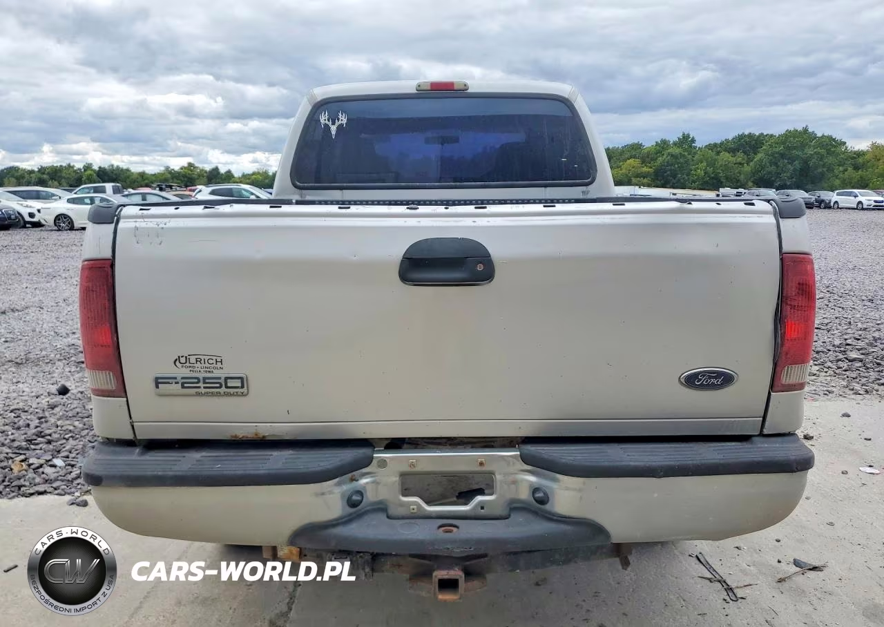 2006 Ford F250 Super Duty VIN:1FTSW21P16EB54453 - 6