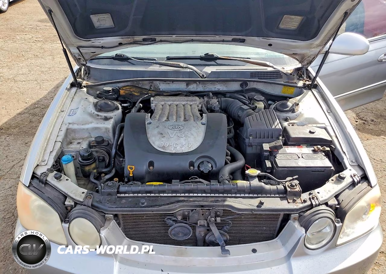 2004 Kia Optima Lx V6 VIN:KNAGD128645351769 - 11