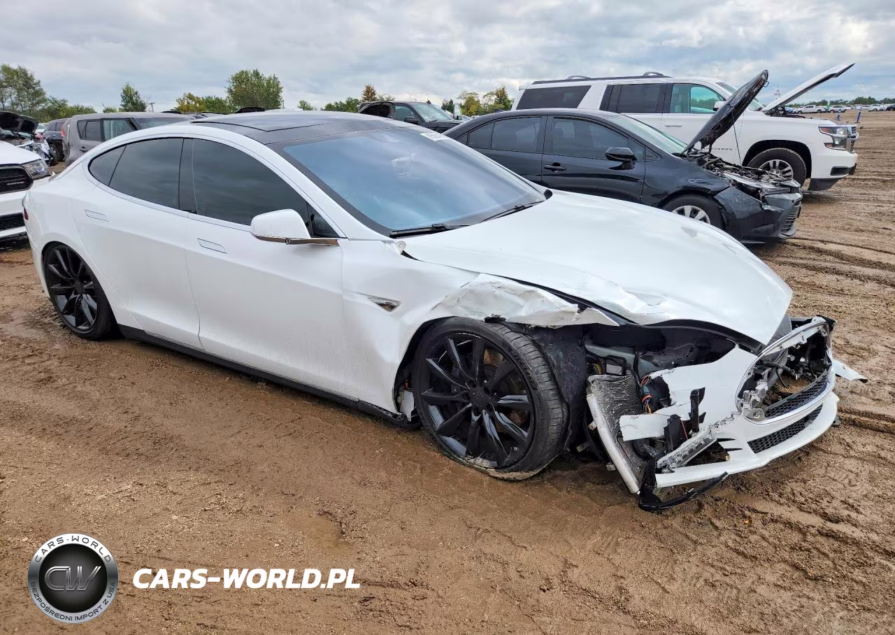 2016 Tesla Model S VIN:5YJSA1E22GF128502 - 4