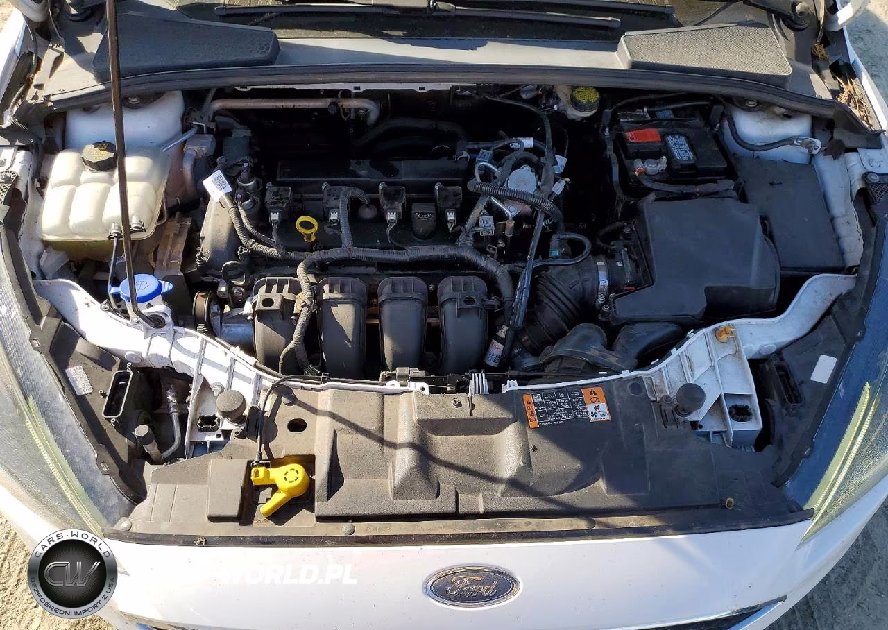 2016 Ford Focus Se VIN:1FADP3F23GL399461 - 11