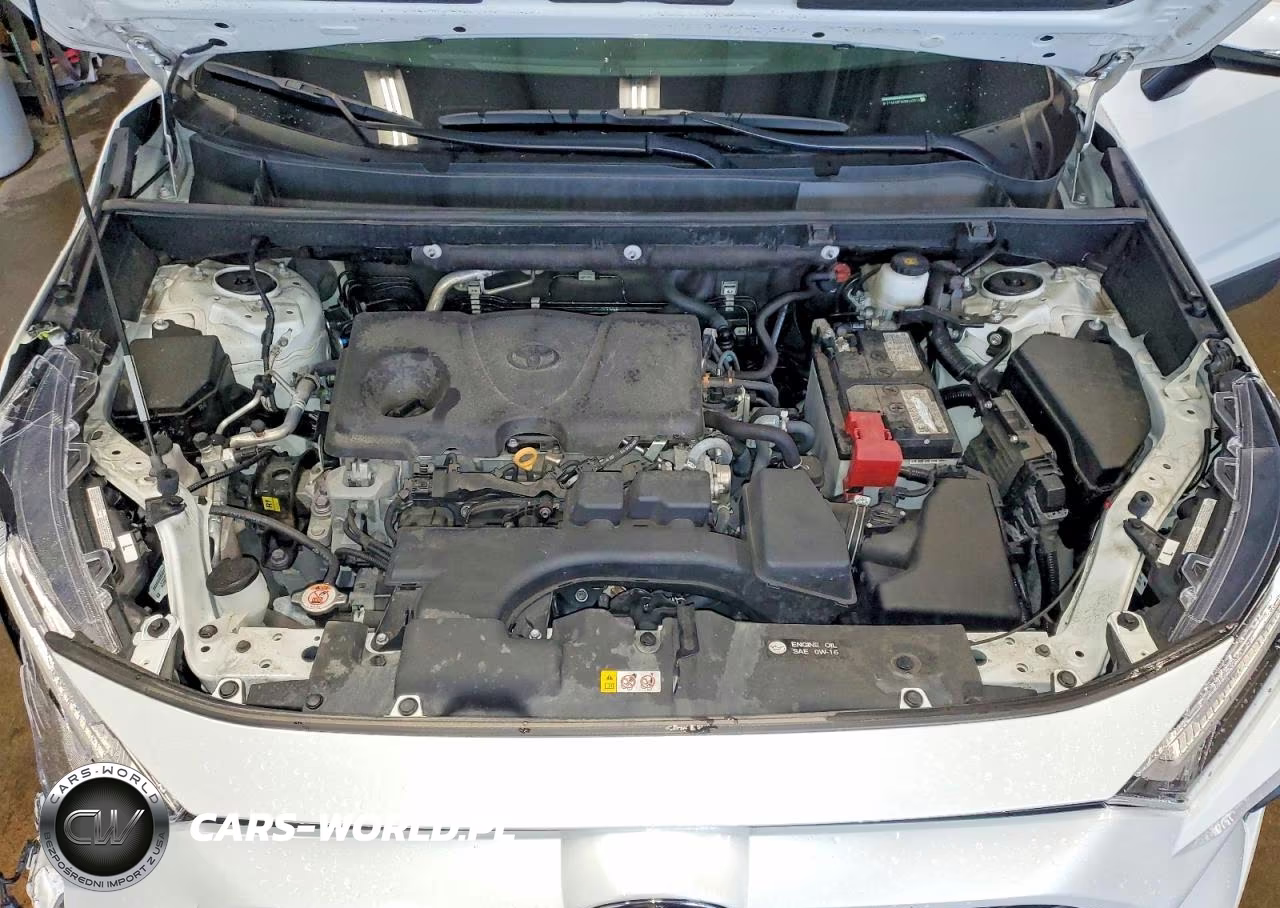 2024 Toyota Rav4 Xle Premium VIN:2T3A1RFV4RW442913 - 12
