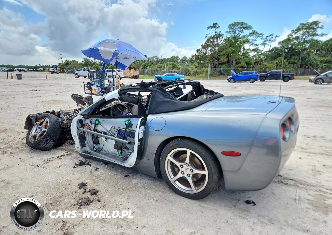 2004 Chevrolet Corvette VIN:1G1YY32G545100782 - 2