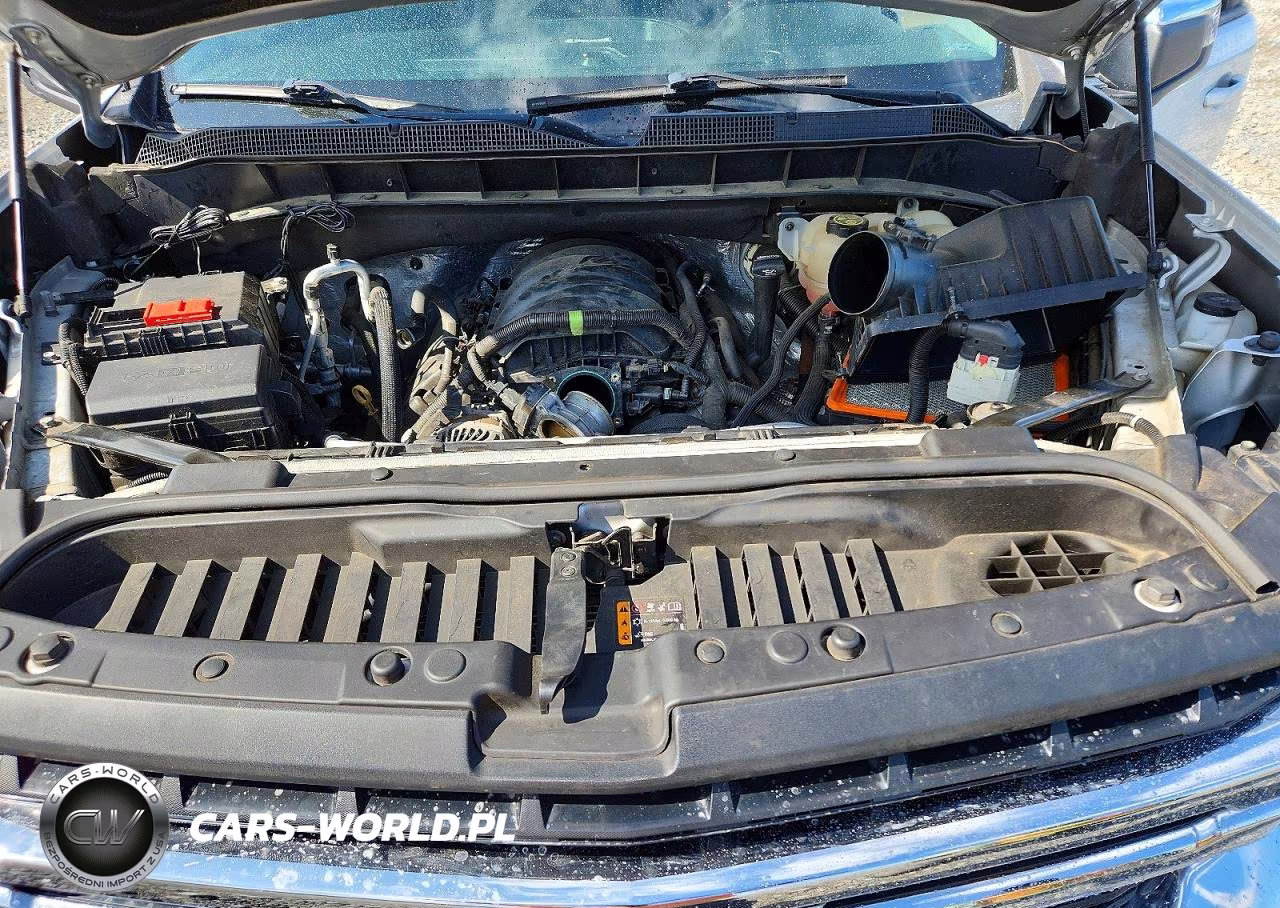 2019 Chevrolet Silverado K1500 Lt VIN:1GCUYDED5KZ135986 - 12