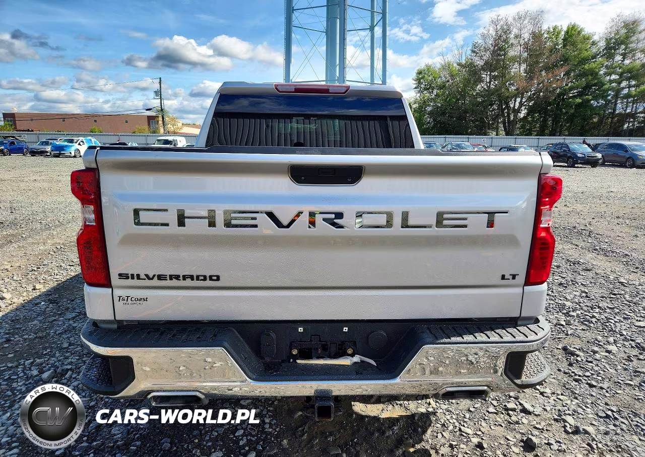 2019 Chevrolet Silverado K1500 Lt VIN:1GCUYDED5KZ135986 - 6
