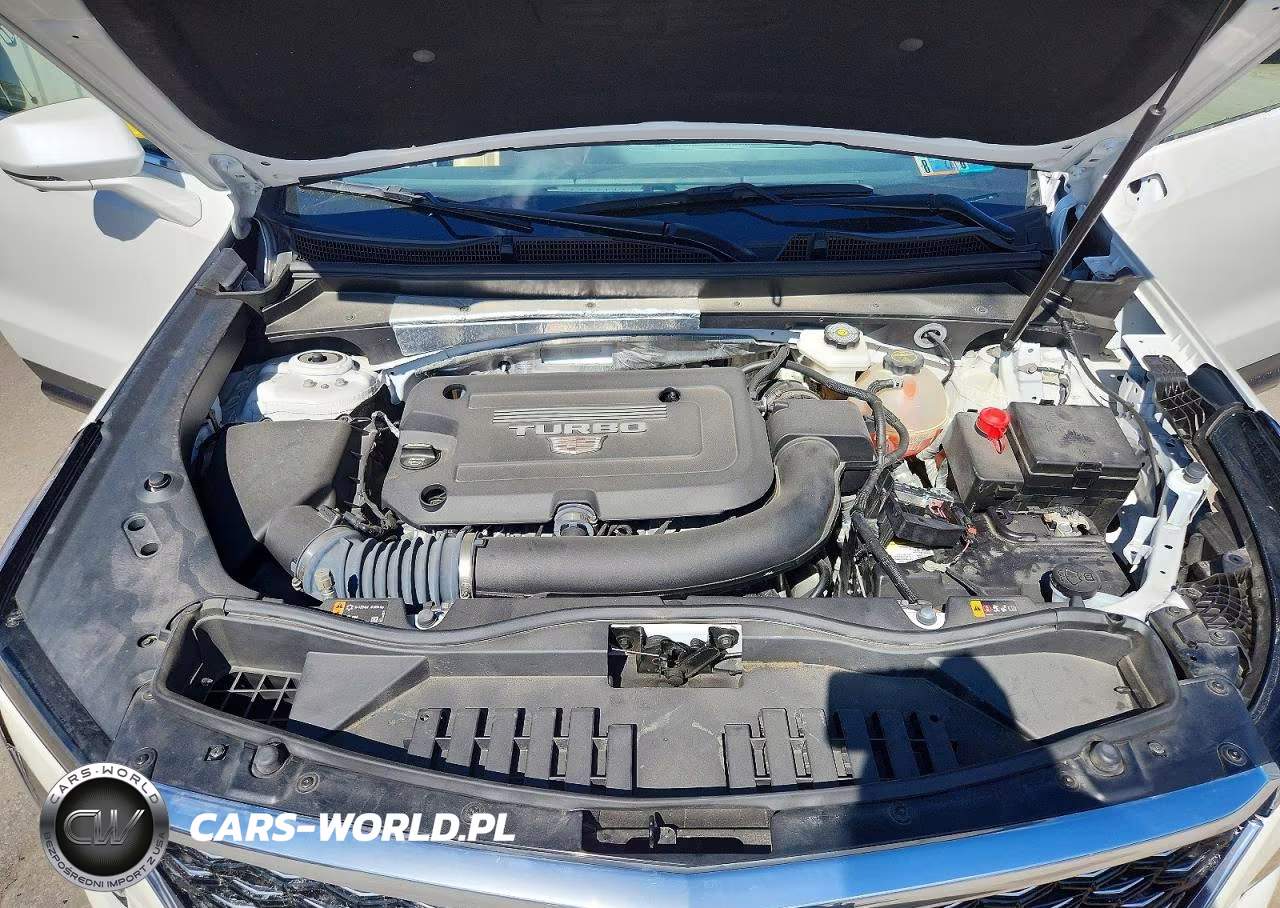 2025 Cadillac Xt4 Premium Luxury VIN:1GYFZDR48SF125321 - 12