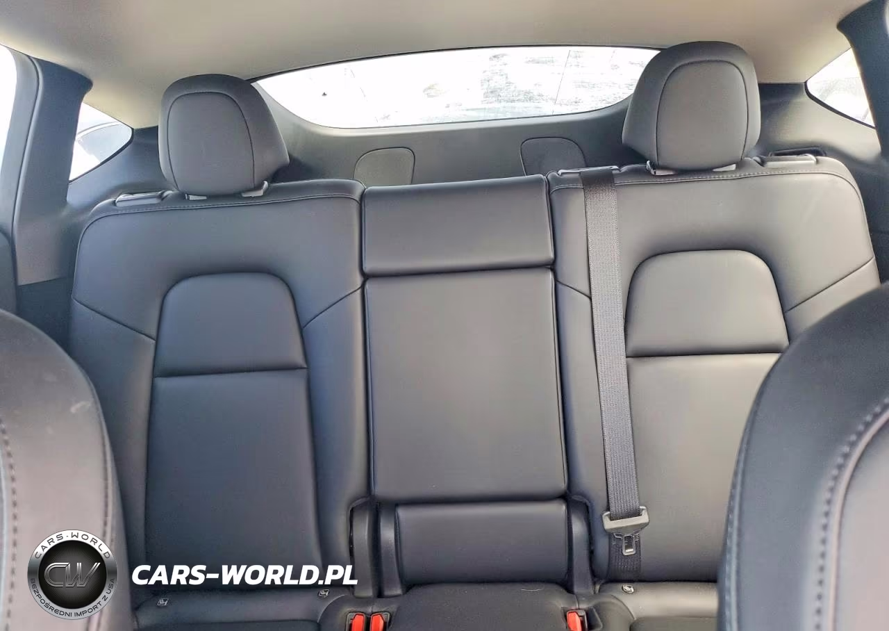 2023 Tesla Model Y VIN:7SAYGDEE4PF744256 - 10