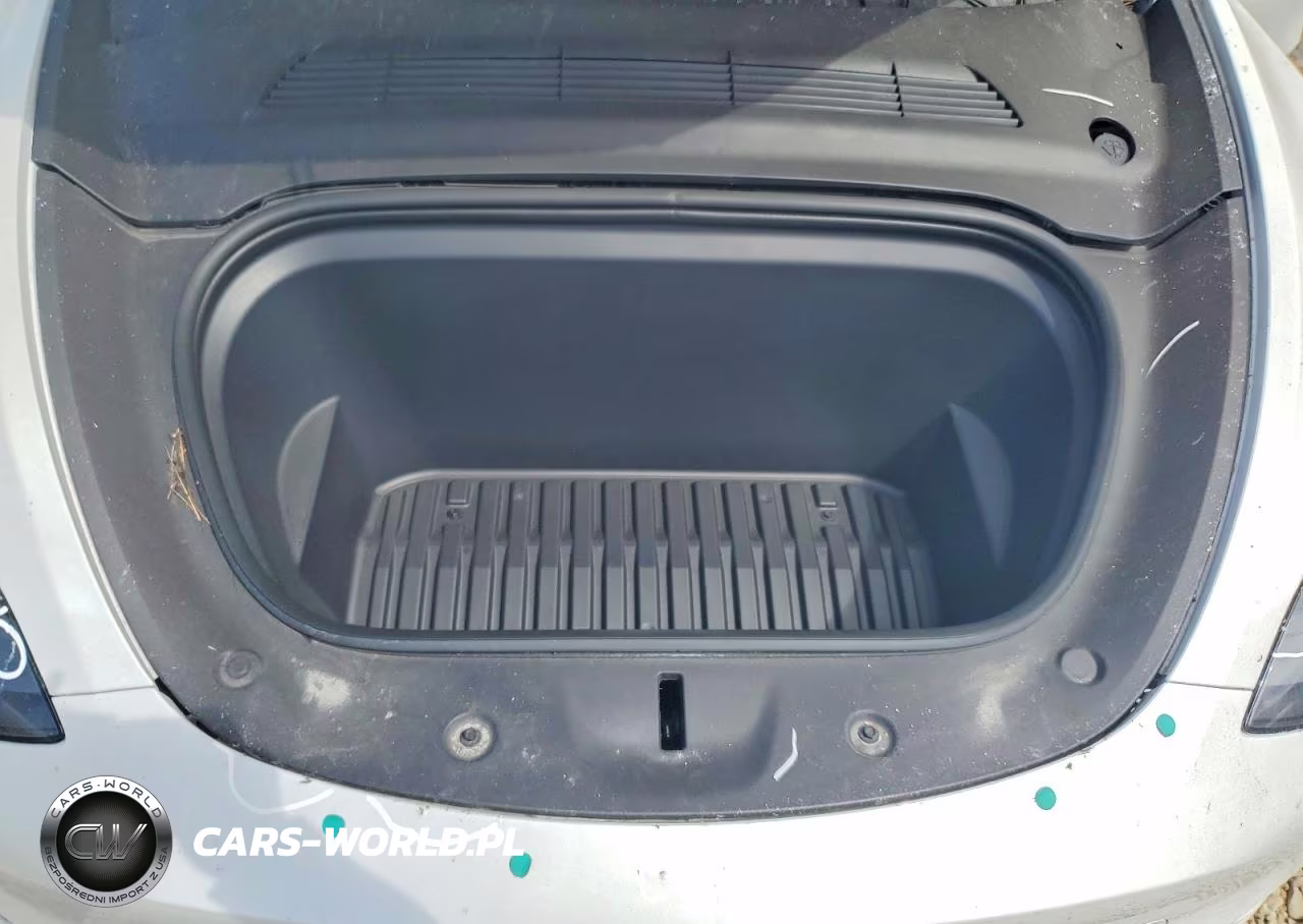 2023 Tesla Model Y VIN:7SAYGDEE4PF744256 - 12