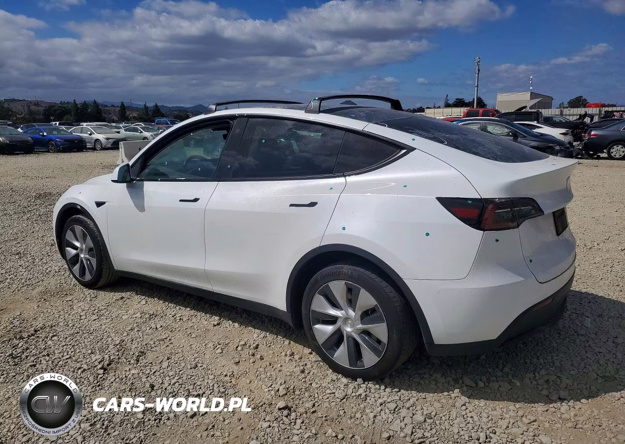 2023 Tesla Model Y VIN:7SAYGDEE4PF744256 - 2