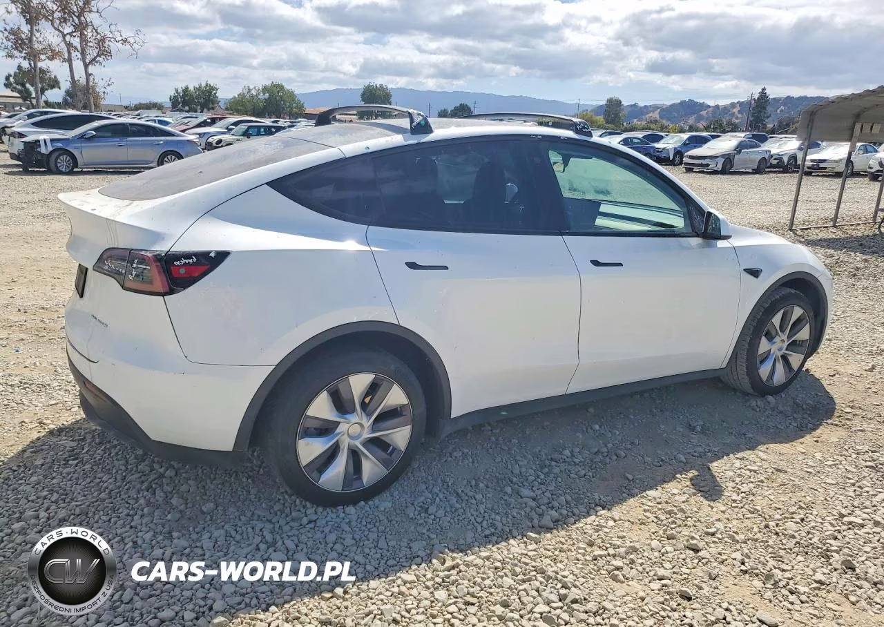 2023 Tesla Model Y VIN:7SAYGDEE4PF744256 - 3