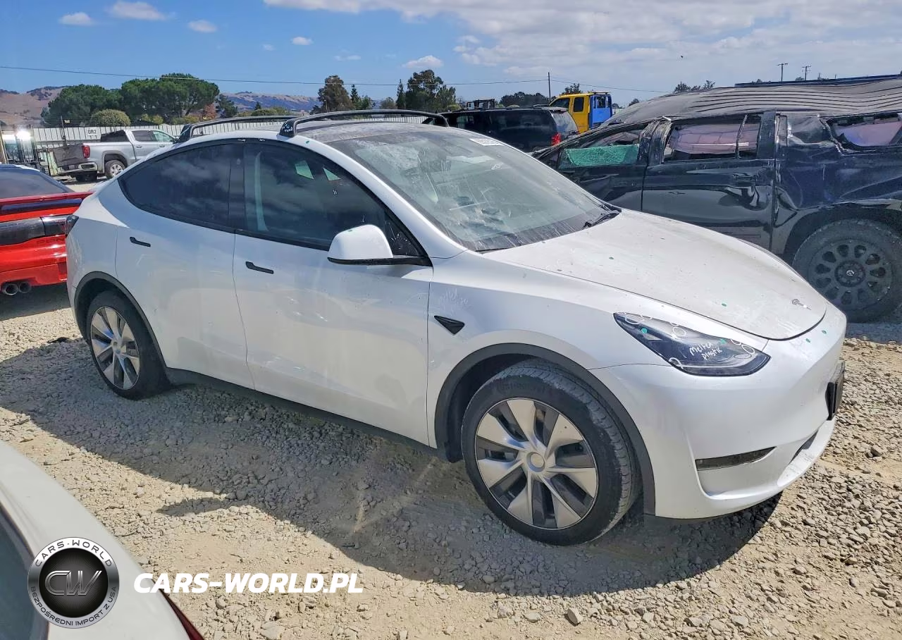 2023 Tesla Model Y VIN:7SAYGDEE4PF744256 - 4