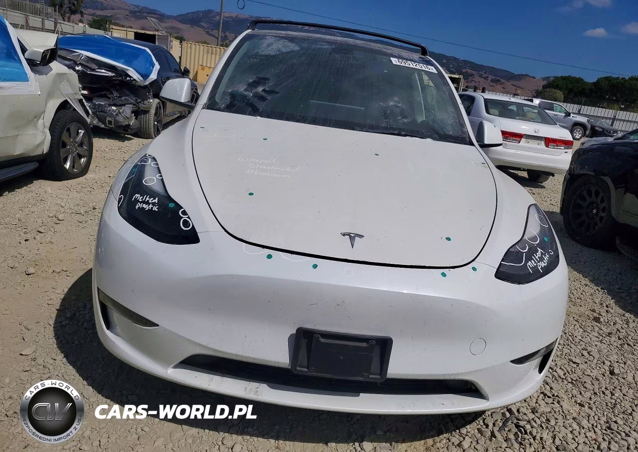 2023 Tesla Model Y VIN:7SAYGDEE4PF744256 - 5