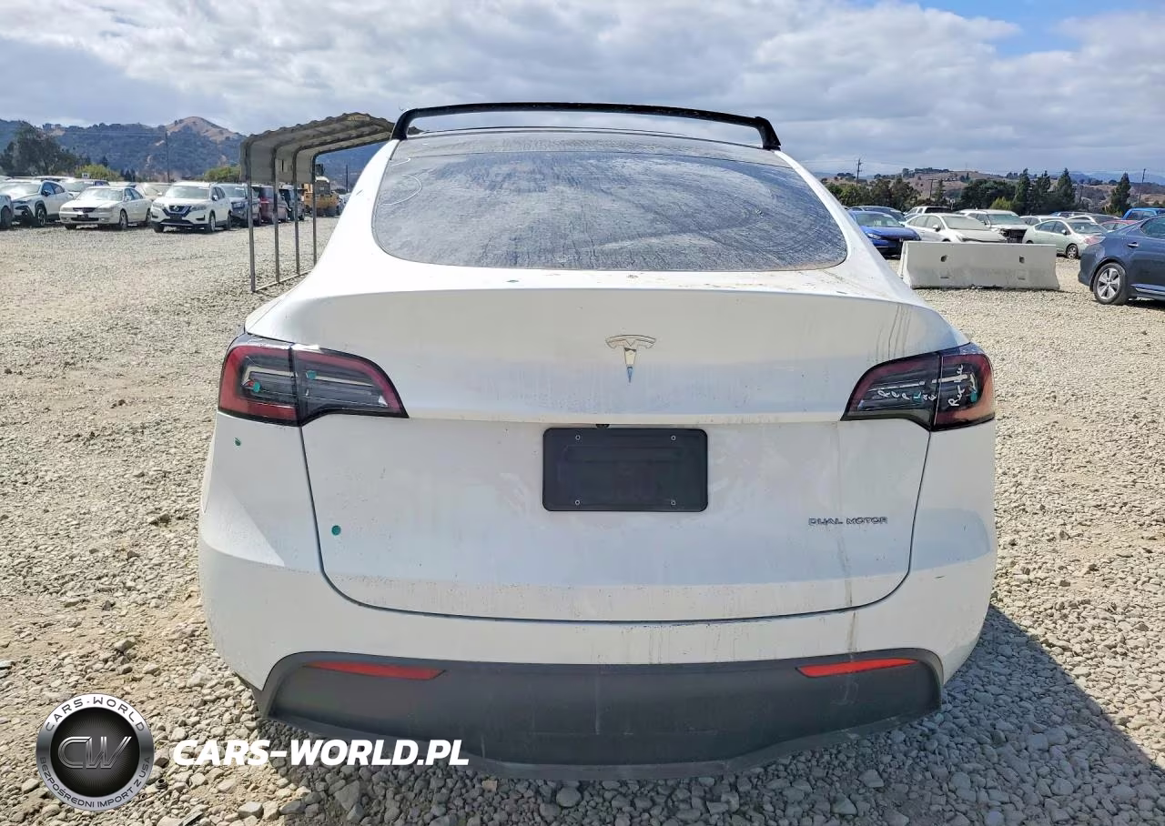 2023 Tesla Model Y VIN:7SAYGDEE4PF744256 - 6