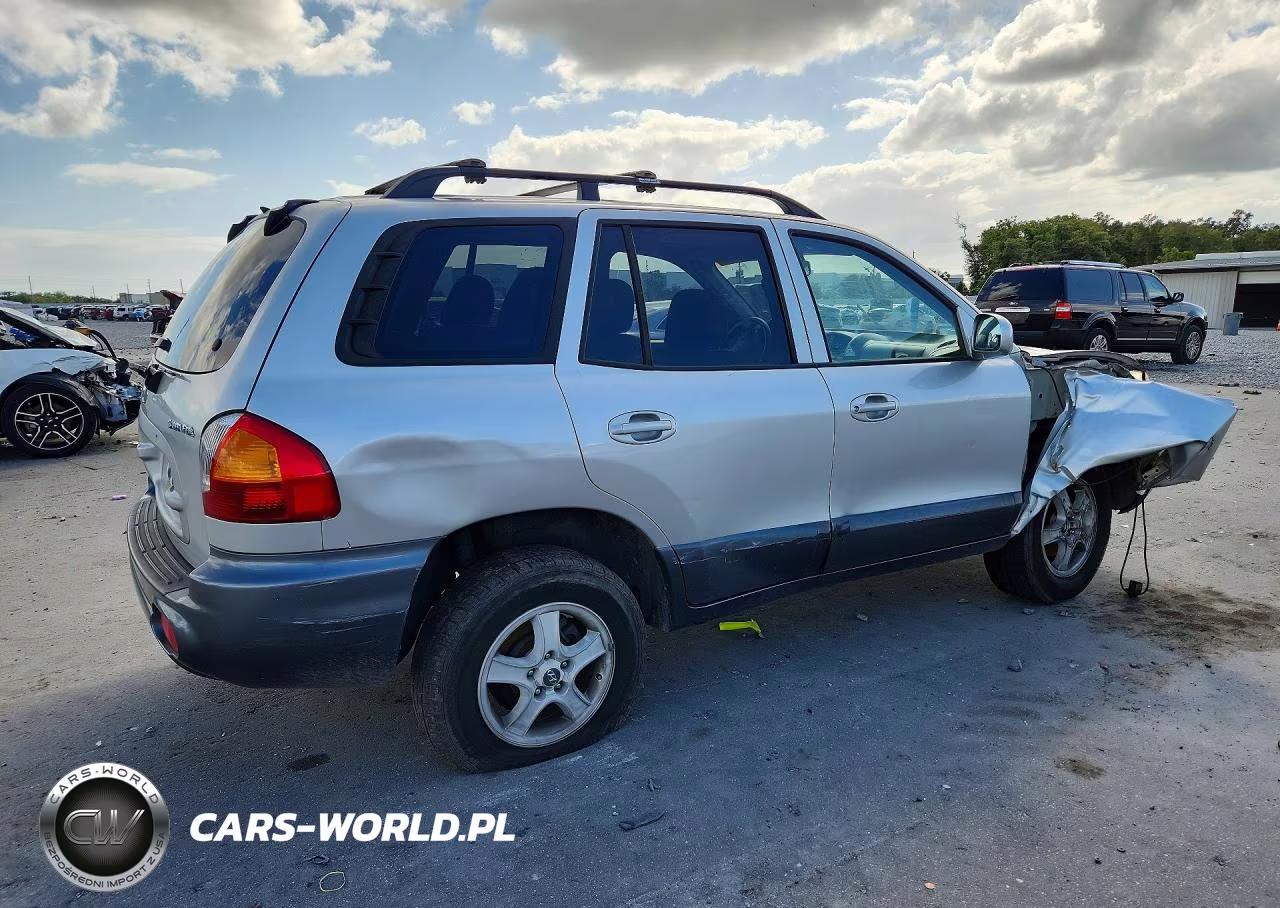 2004 Hyundai Santa Fe Base VIN:KM8SB12B74U669092 - 3