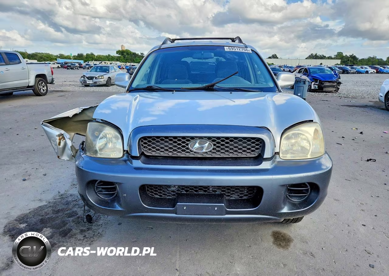 2004 Hyundai Santa Fe Base VIN:KM8SB12B74U669092 - 5
