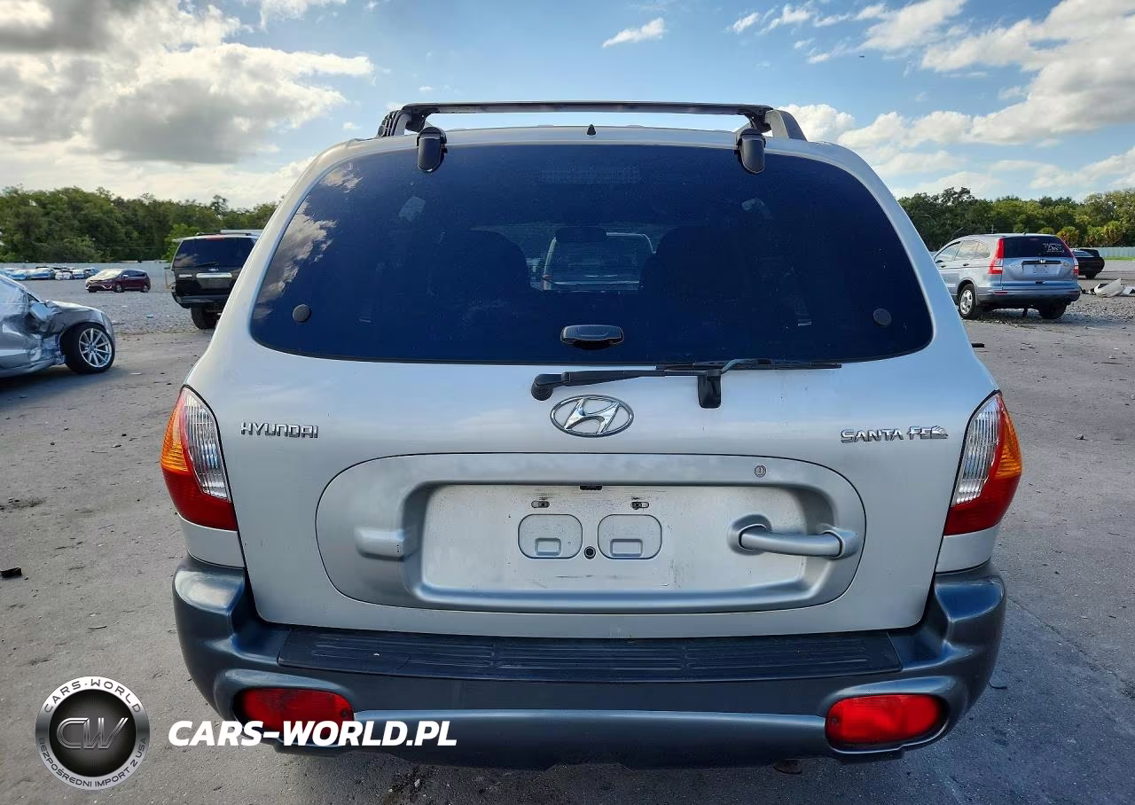 2004 Hyundai Santa Fe Base VIN:KM8SB12B74U669092 - 6