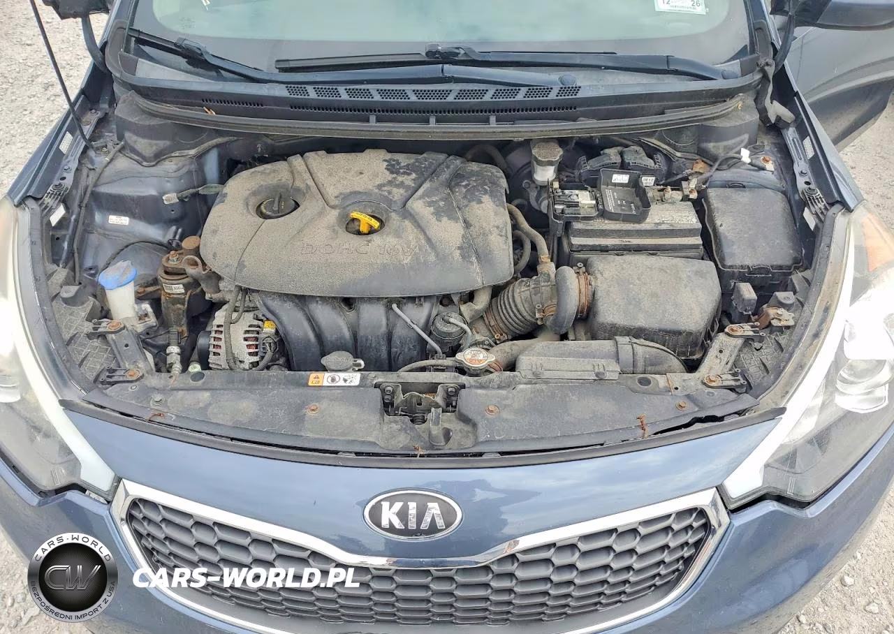 2016 Kia Forte Lx VIN:KNAFK4A64G5501112 - 11