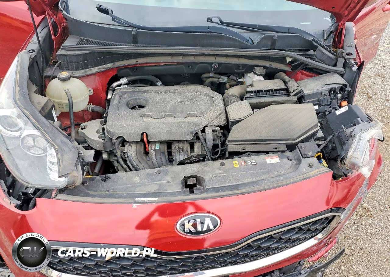 2020 Kia Sportage Lx VIN:KNDPM3AC0L7799495 - 12