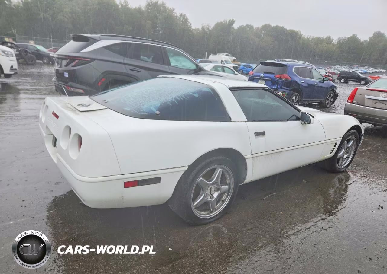 1995 Chevrolet Corvette VIN:1G1YY22P8S5111993 - 3