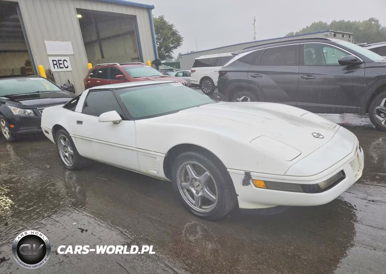 1995 Chevrolet Corvette VIN:1G1YY22P8S5111993 - 4