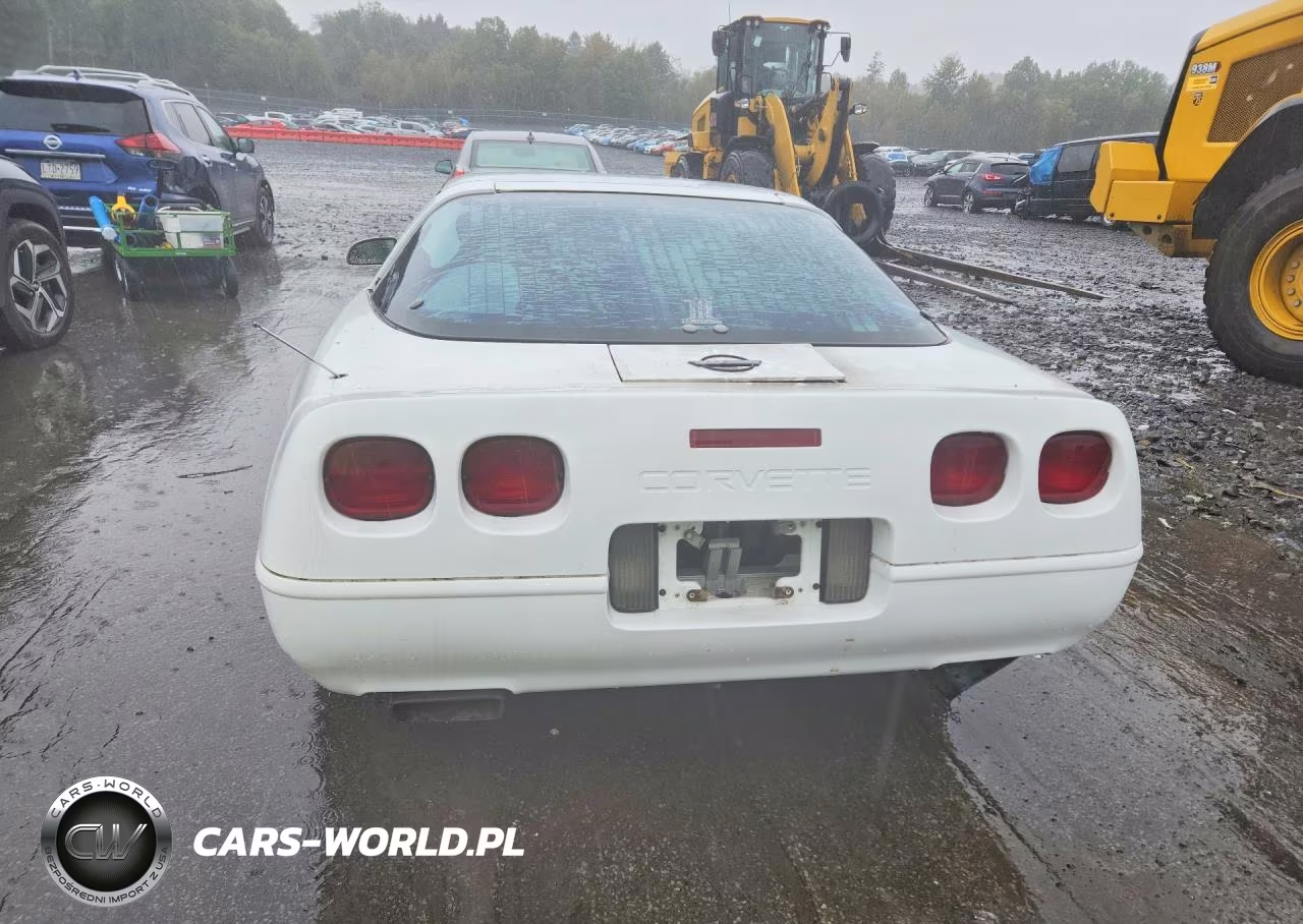 1995 Chevrolet Corvette VIN:1G1YY22P8S5111993 - 6