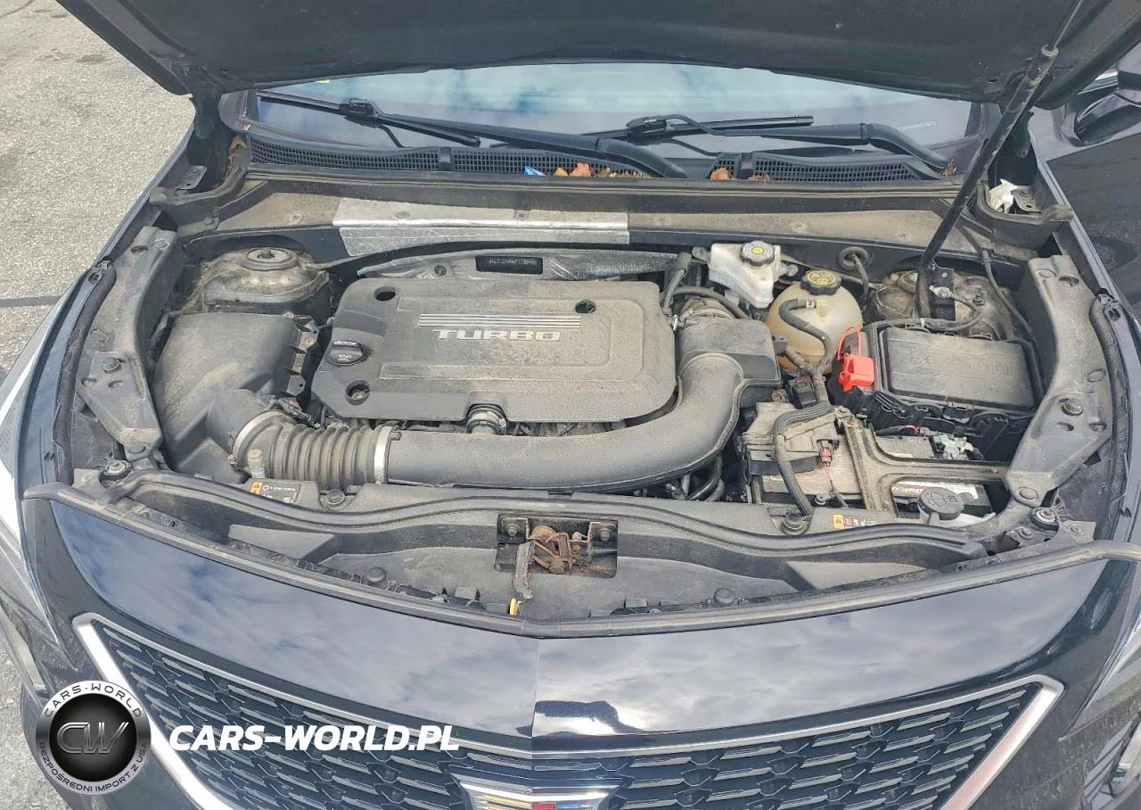 2019 Cadillac Xt4 Premium Luxury VIN:1GYFZDR46KF118044 - 12