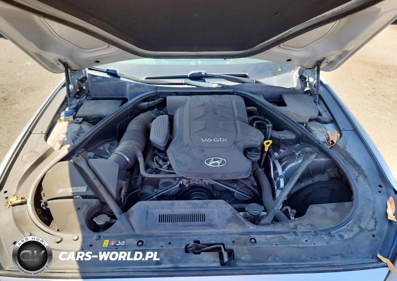2016 Hyundai Genesis 3.8L VIN:KMHGN4JE1GU138467 - 11