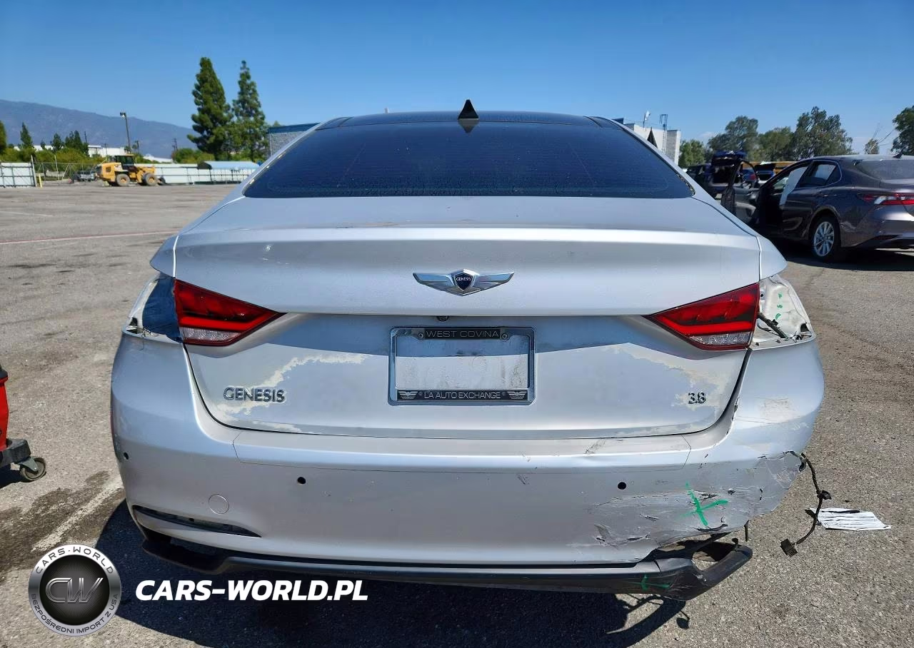 2016 Hyundai Genesis 3.8L VIN:KMHGN4JE1GU138467 - 6