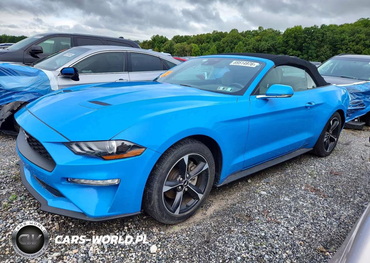 2022 Ford Mustang VIN:1FATP8UH0N5135874 - 1