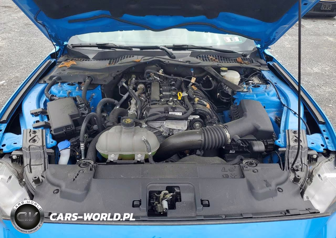2022 Ford Mustang VIN:1FATP8UH0N5135874 - 11