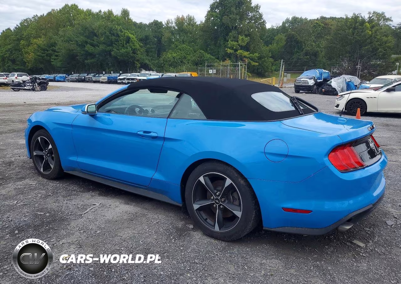 2022 Ford Mustang VIN:1FATP8UH0N5135874 - 2