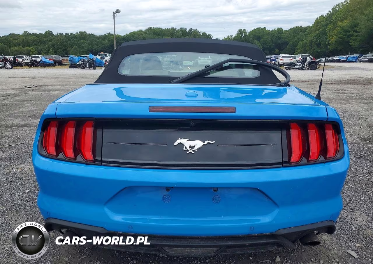 2022 Ford Mustang VIN:1FATP8UH0N5135874 - 6