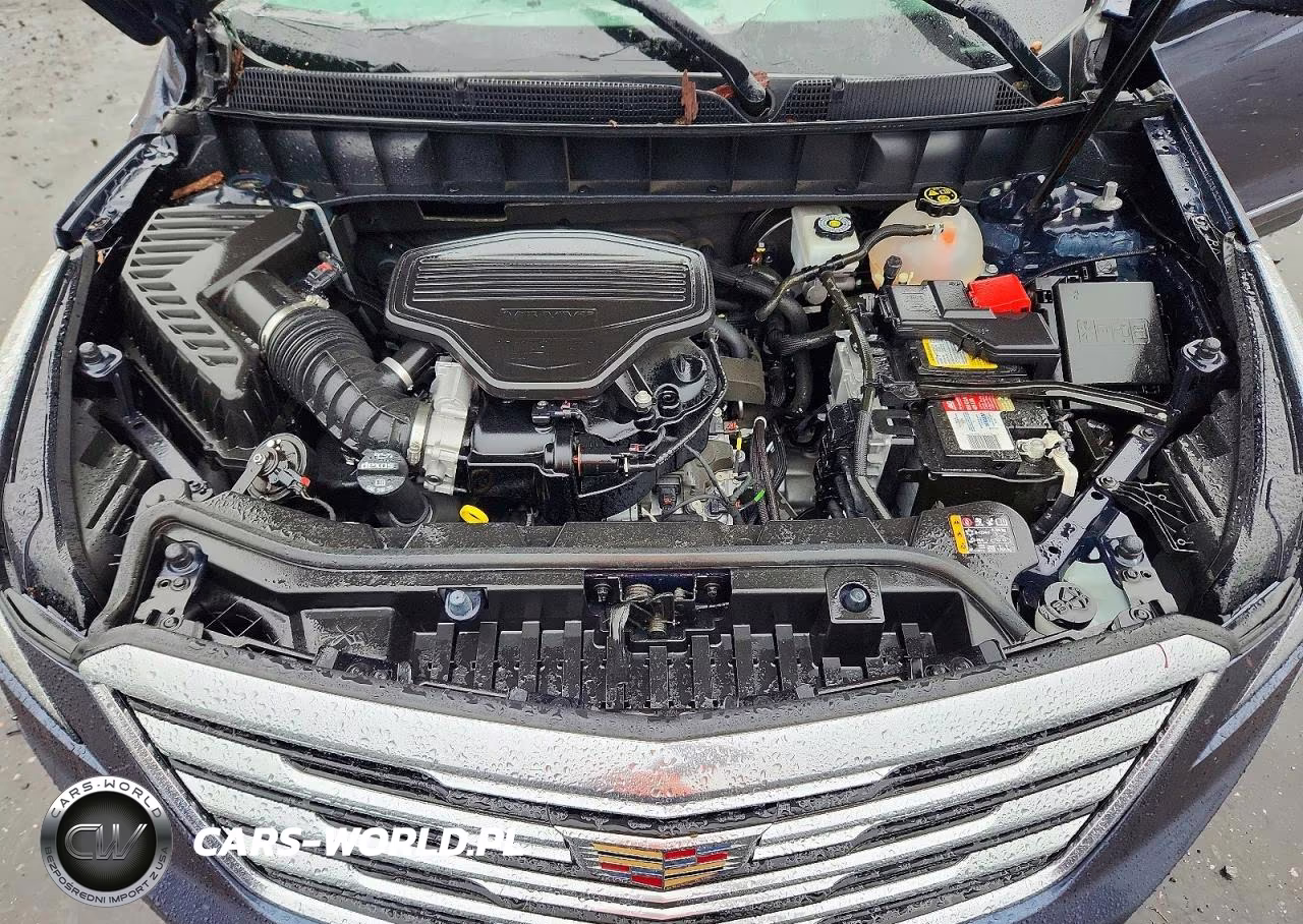 2019 Cadillac Xt5 Luxury VIN:1GYKNDRS5KZ158316 - 12