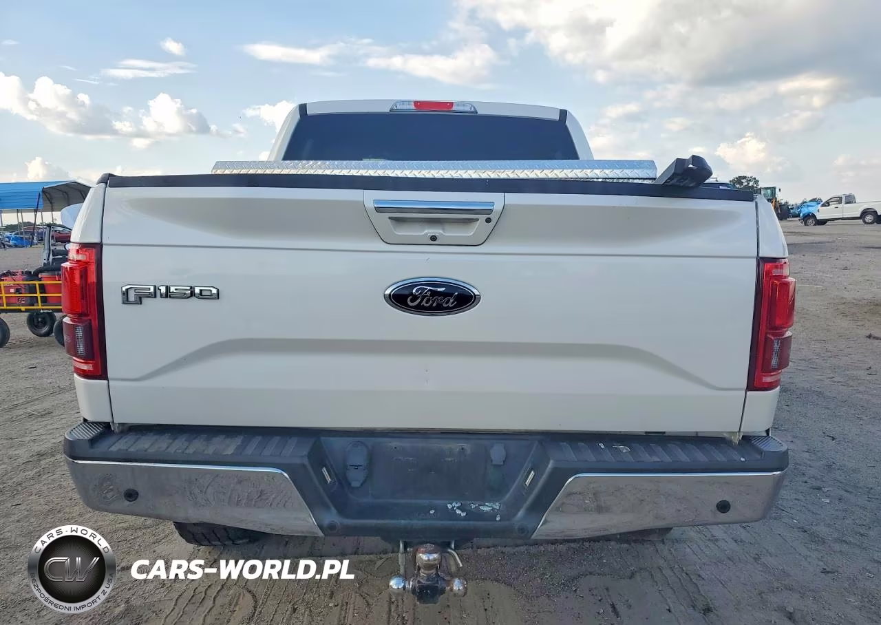 2017 Ford F150 Supercrew VIN:1FTEW1EF7HFA18799 - 6