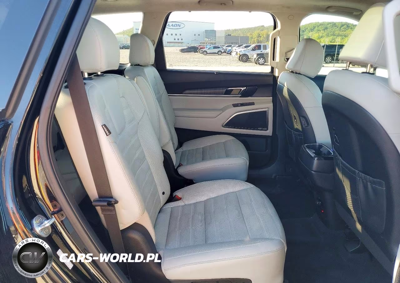 2023 Kia Telluride Sx-Prestige VIN:5XYP5DGC2PG335918 - 11