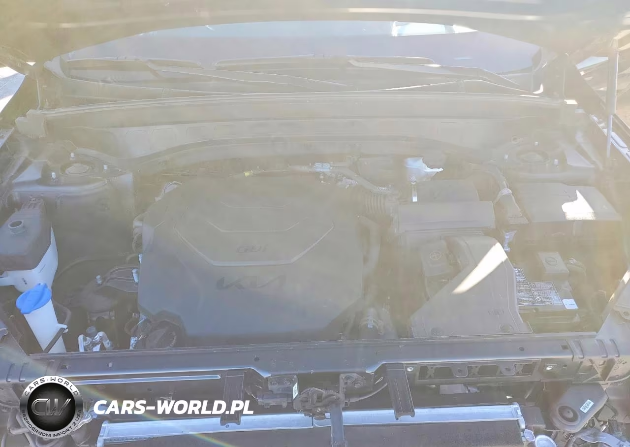 2023 Kia Telluride Sx-Prestige VIN:5XYP5DGC2PG335918 - 12