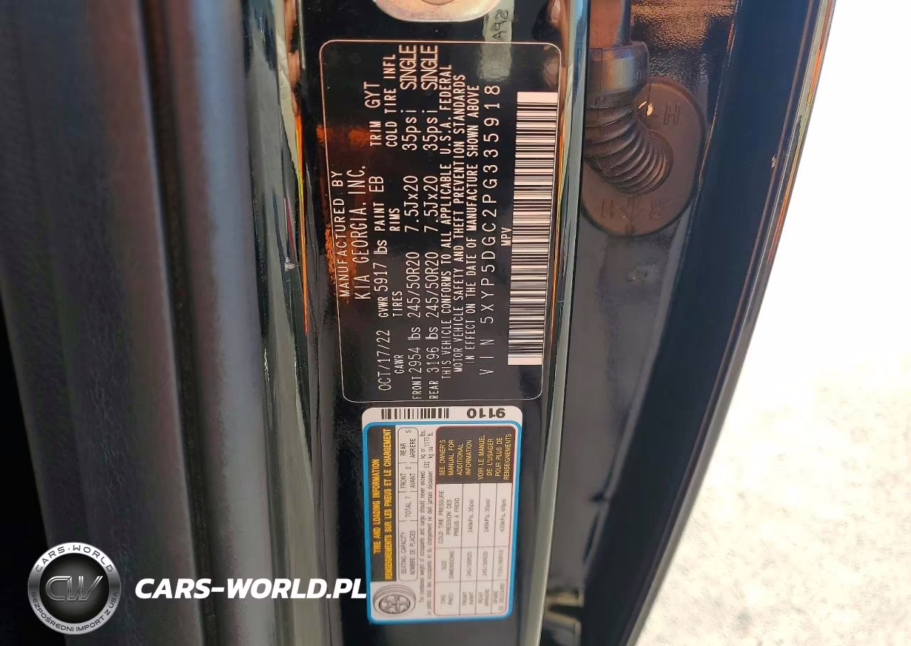 2023 Kia Telluride Sx-Prestige VIN:5XYP5DGC2PG335918 - 14