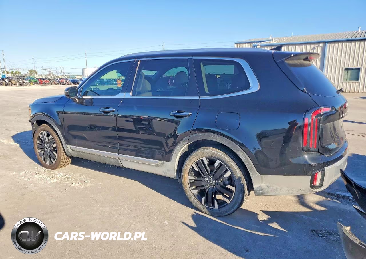 2023 Kia Telluride Sx-Prestige VIN:5XYP5DGC2PG335918 - 2