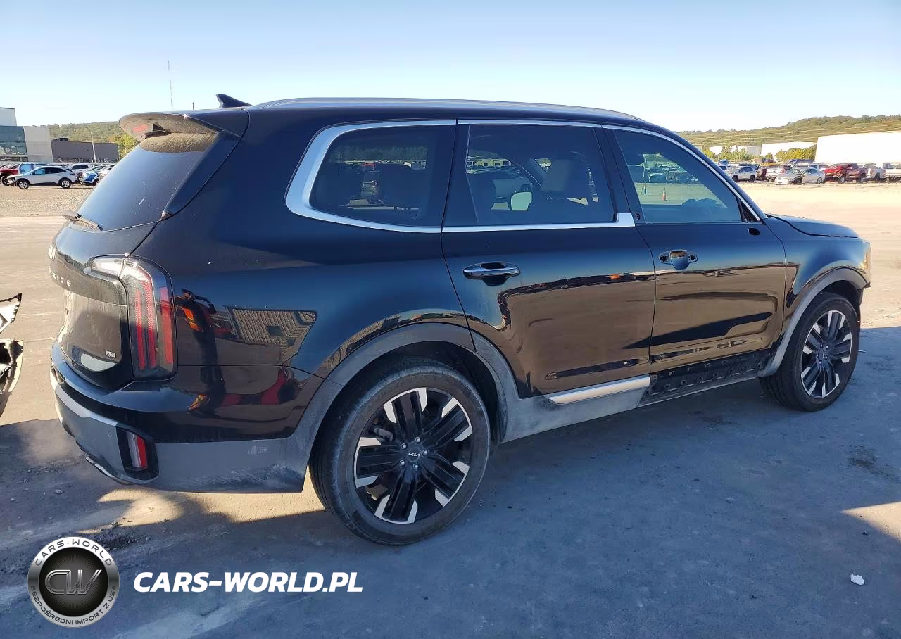 2023 Kia Telluride Sx-Prestige VIN:5XYP5DGC2PG335918 - 3