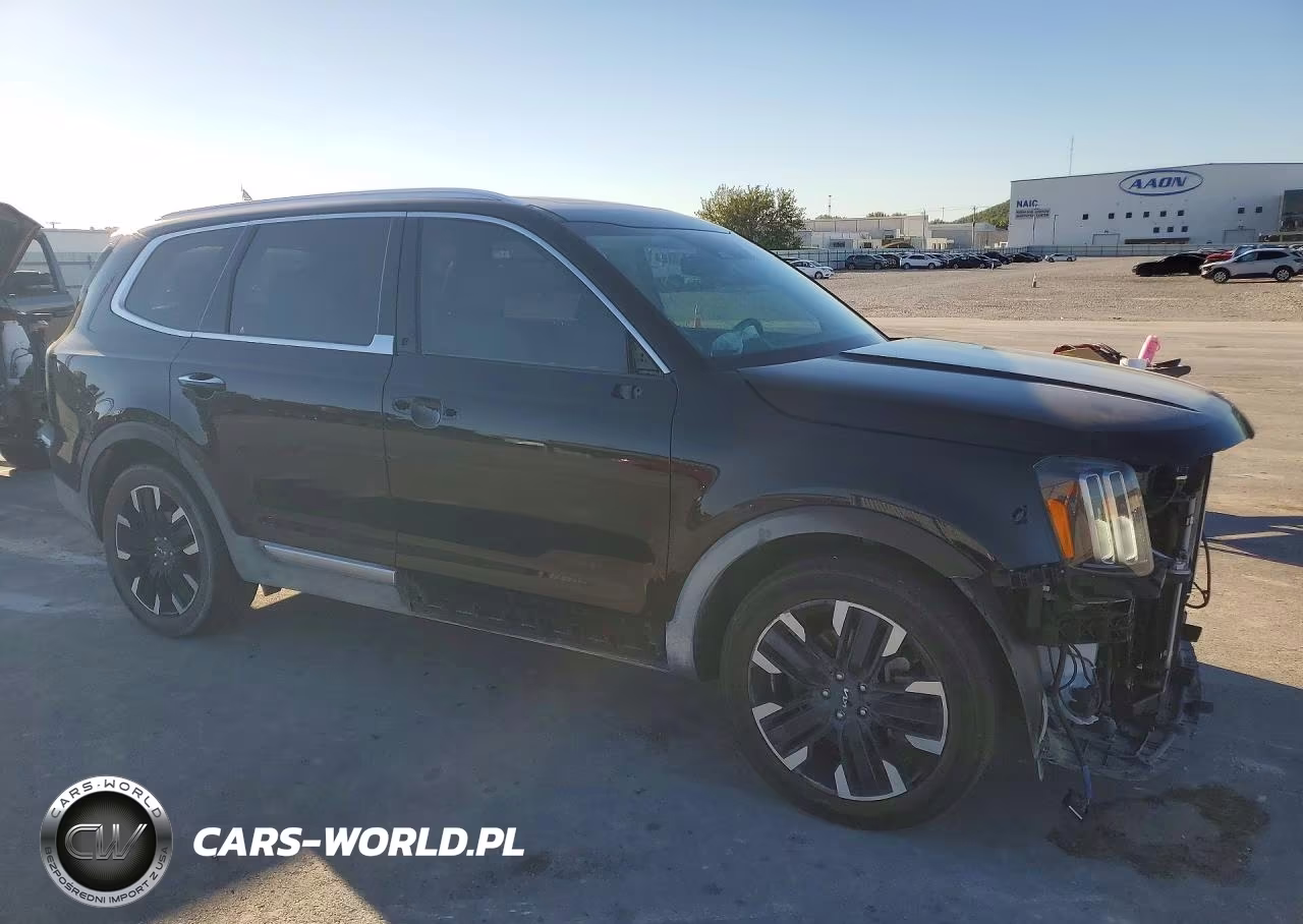 2023 Kia Telluride Sx-Prestige VIN:5XYP5DGC2PG335918 - 4