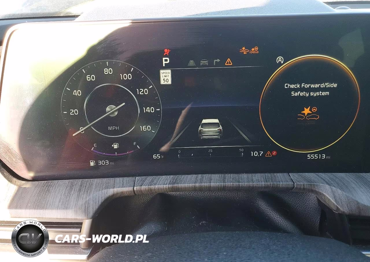 2023 Kia Telluride Sx-Prestige VIN:5XYP5DGC2PG335918 - 9