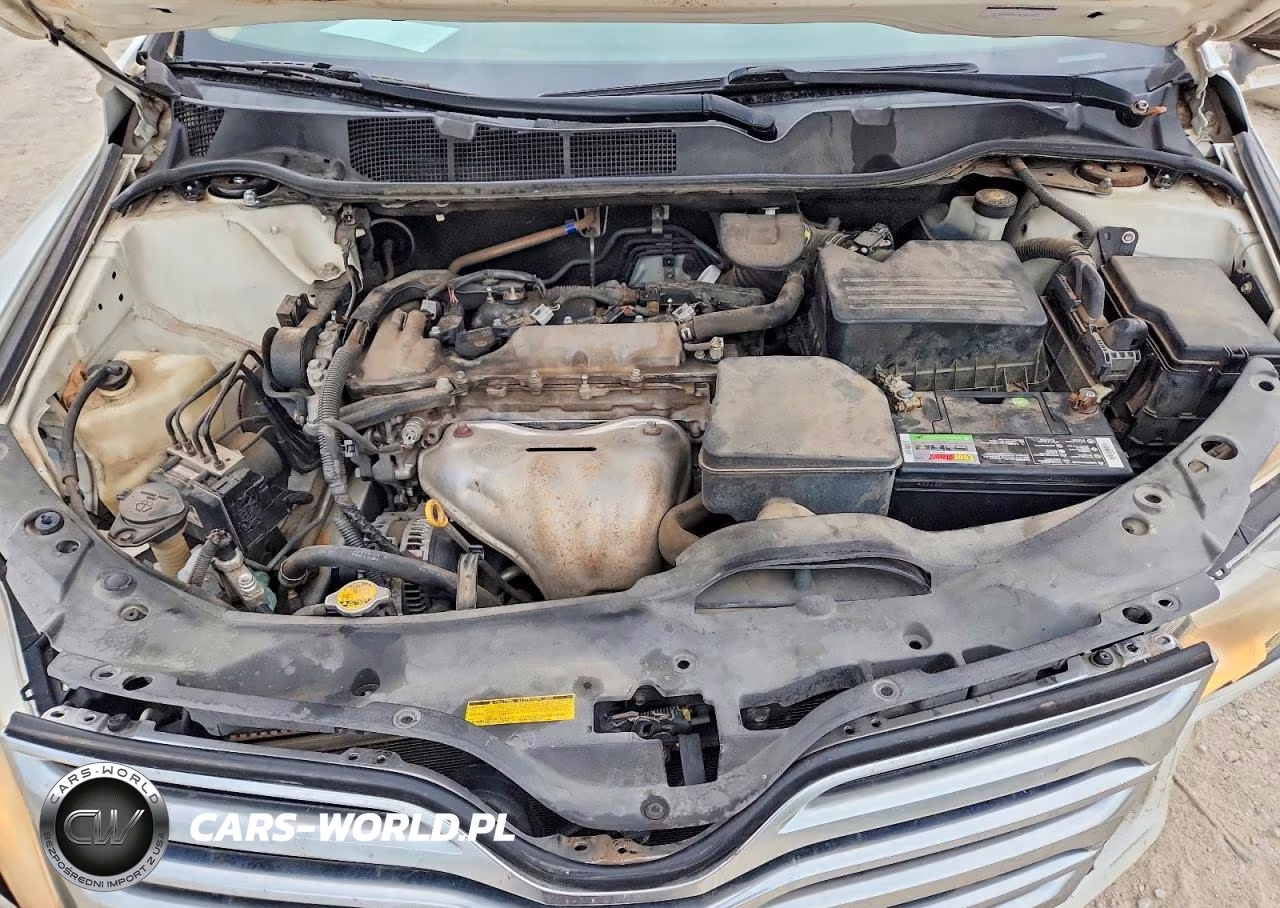 2009 Toyota Venza Fwd 4Cyl VIN:4T3ZE11A69U012670 - 11