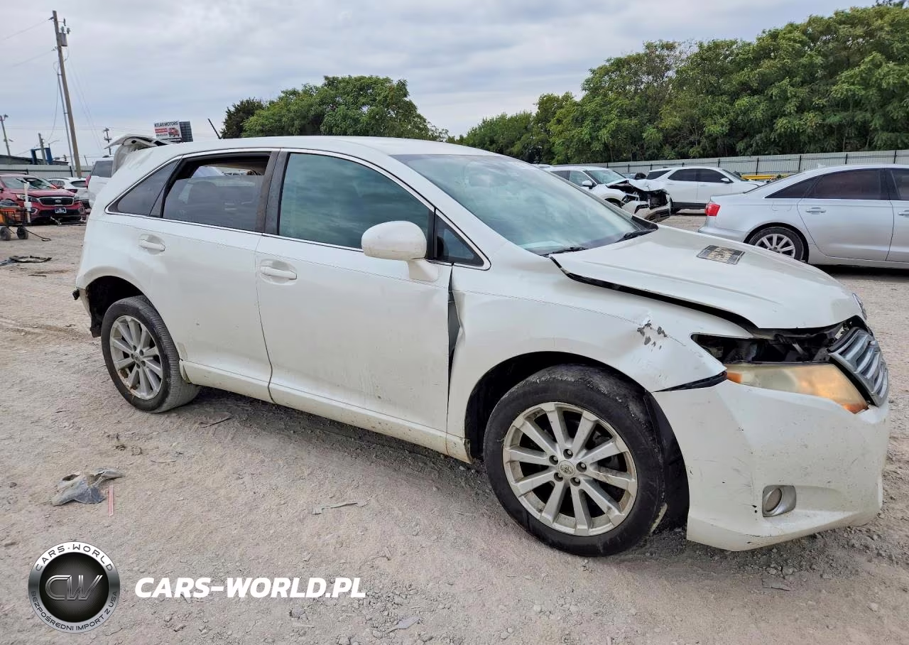 2009 Toyota Venza Fwd 4Cyl VIN:4T3ZE11A69U012670 - 4